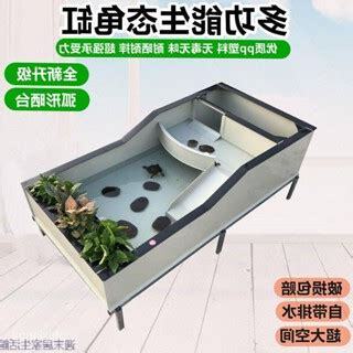 烏龜 陽台